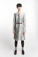 Laden Sie das Bild in den Galerie-Viewer, Dress Ice-Crystal Print