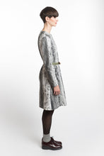 Laden Sie das Bild in den Galerie-Viewer, Dress Ice-Crystal Print