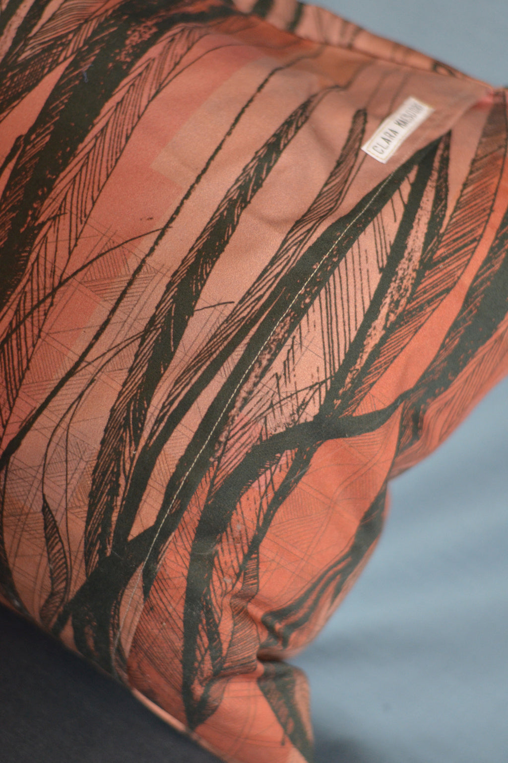 Cushion Case Feather
