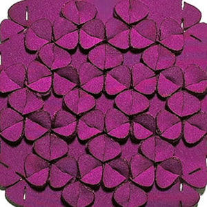 Großer Kragen verschiedene Farben - the classic uni - IRIS NIJENHUIS